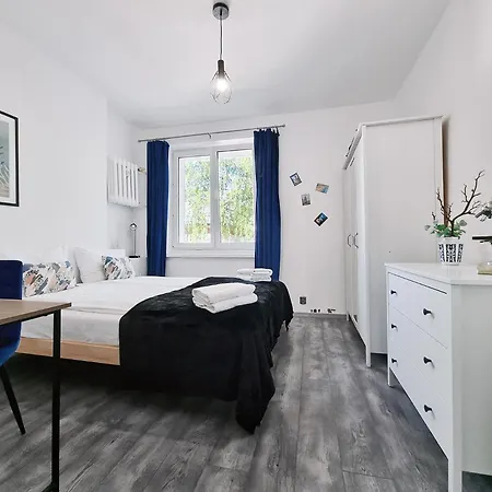 Classy - - Experyment * 그디니아