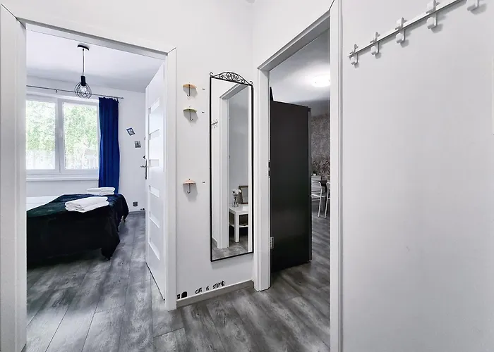 Classy - - Experyment