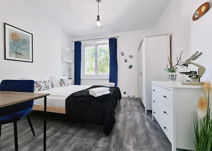 Classy - - Experyment * Gdyně